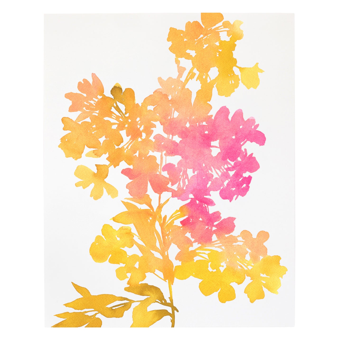 "Pink & Marigold Yellow Wildflower Burst" Print