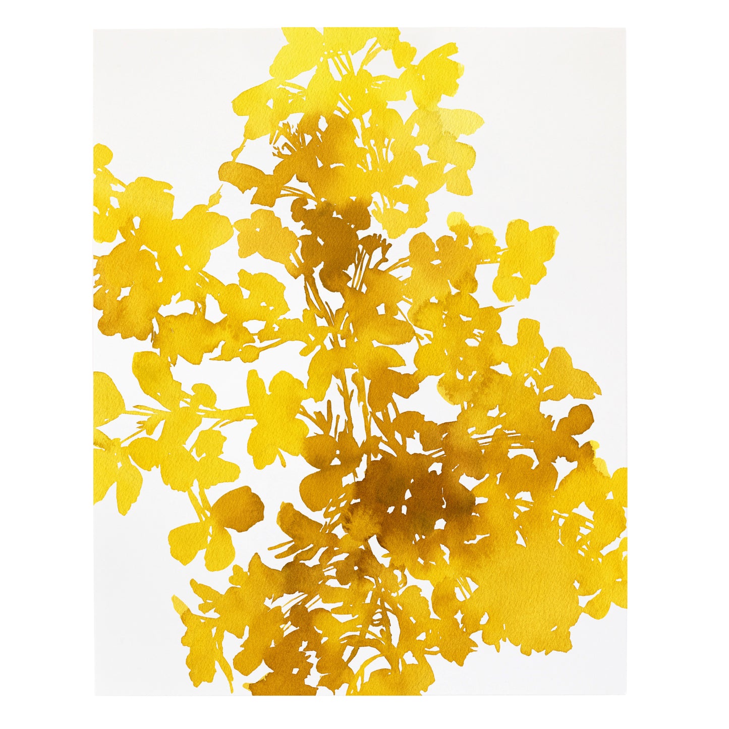 "Marigold Yellow Wildflower Burst" Print