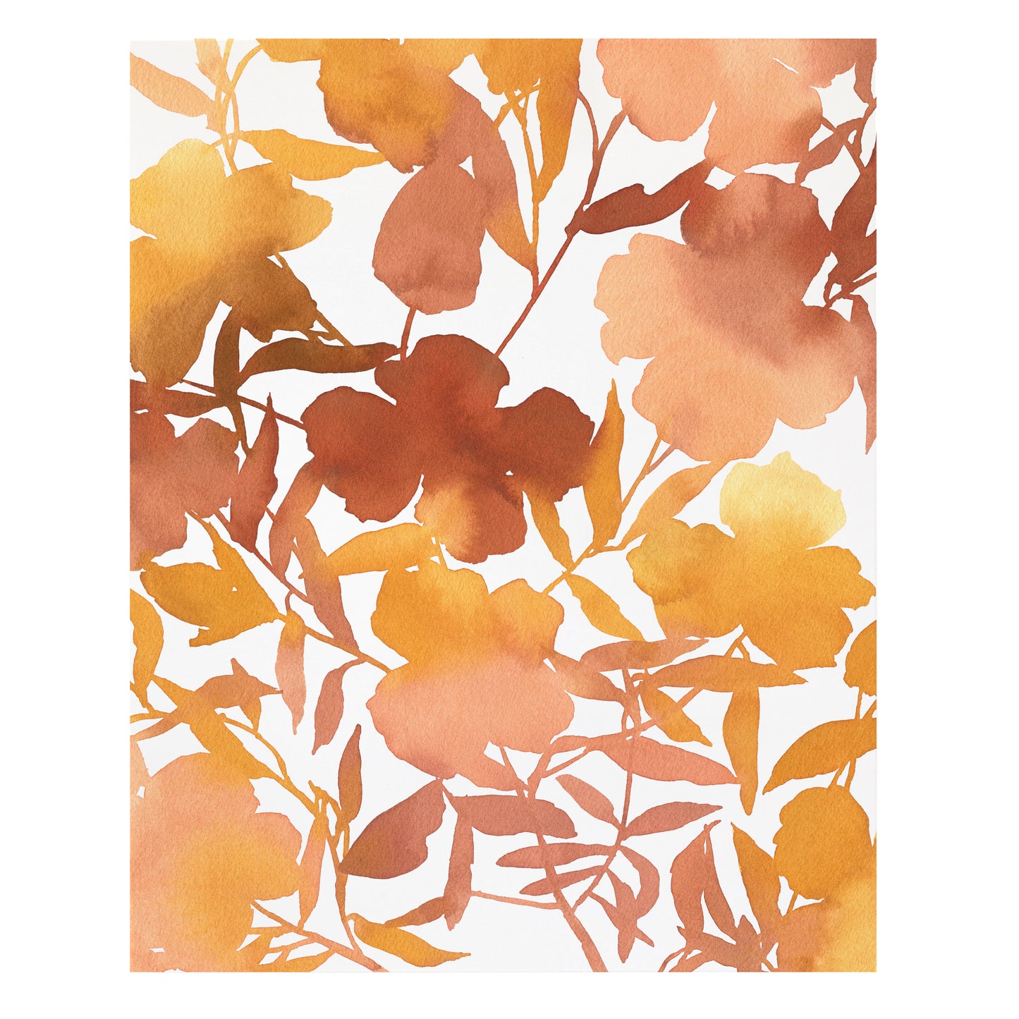 "Rowallane Peach Opal Floral" Print