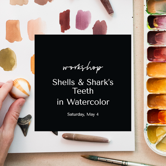 Shells & Shark's Teeth in Watercolor