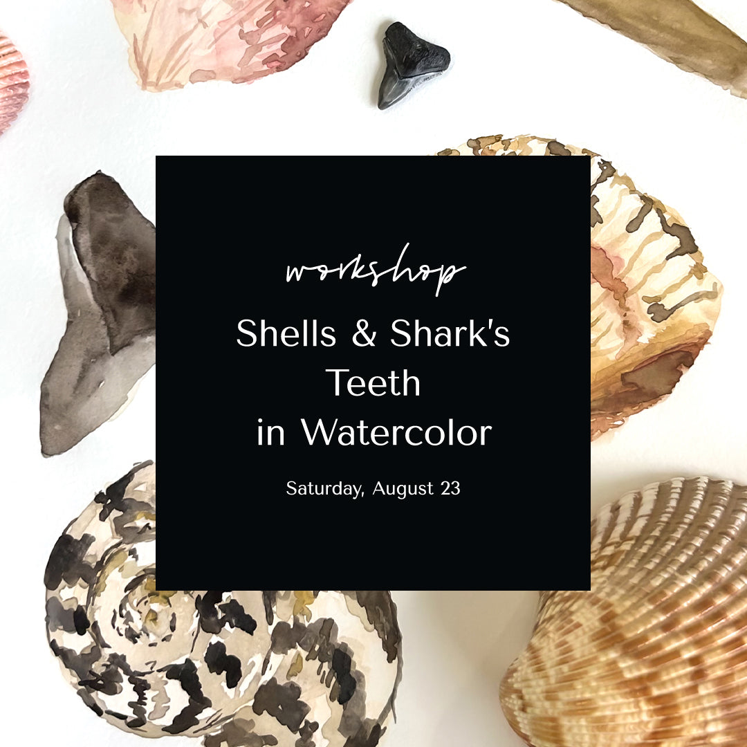 Shells & Shark's Teeth in Watercolor • August 23