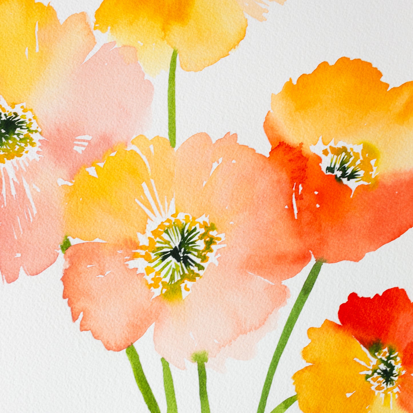 Playful Poppies in Watercolor