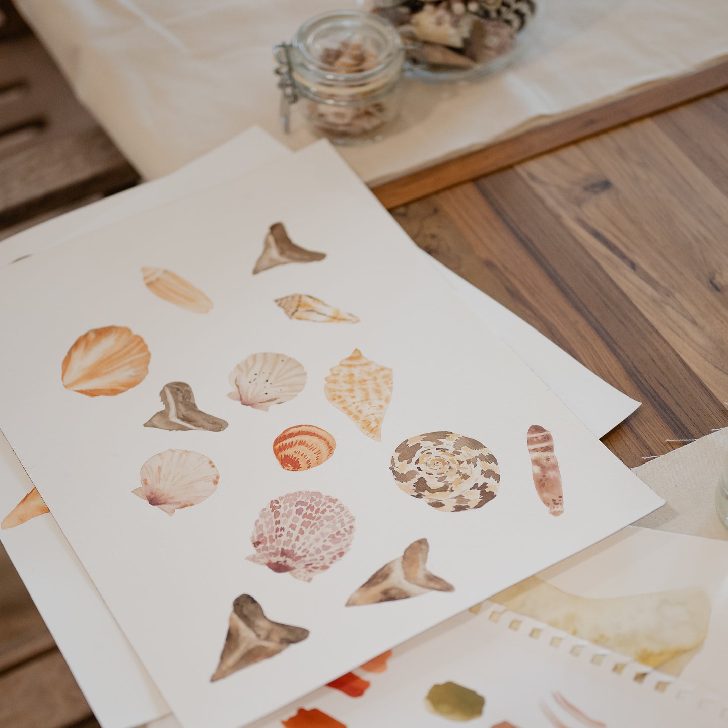 Shells & Shark's Teeth in Watercolor • August 23