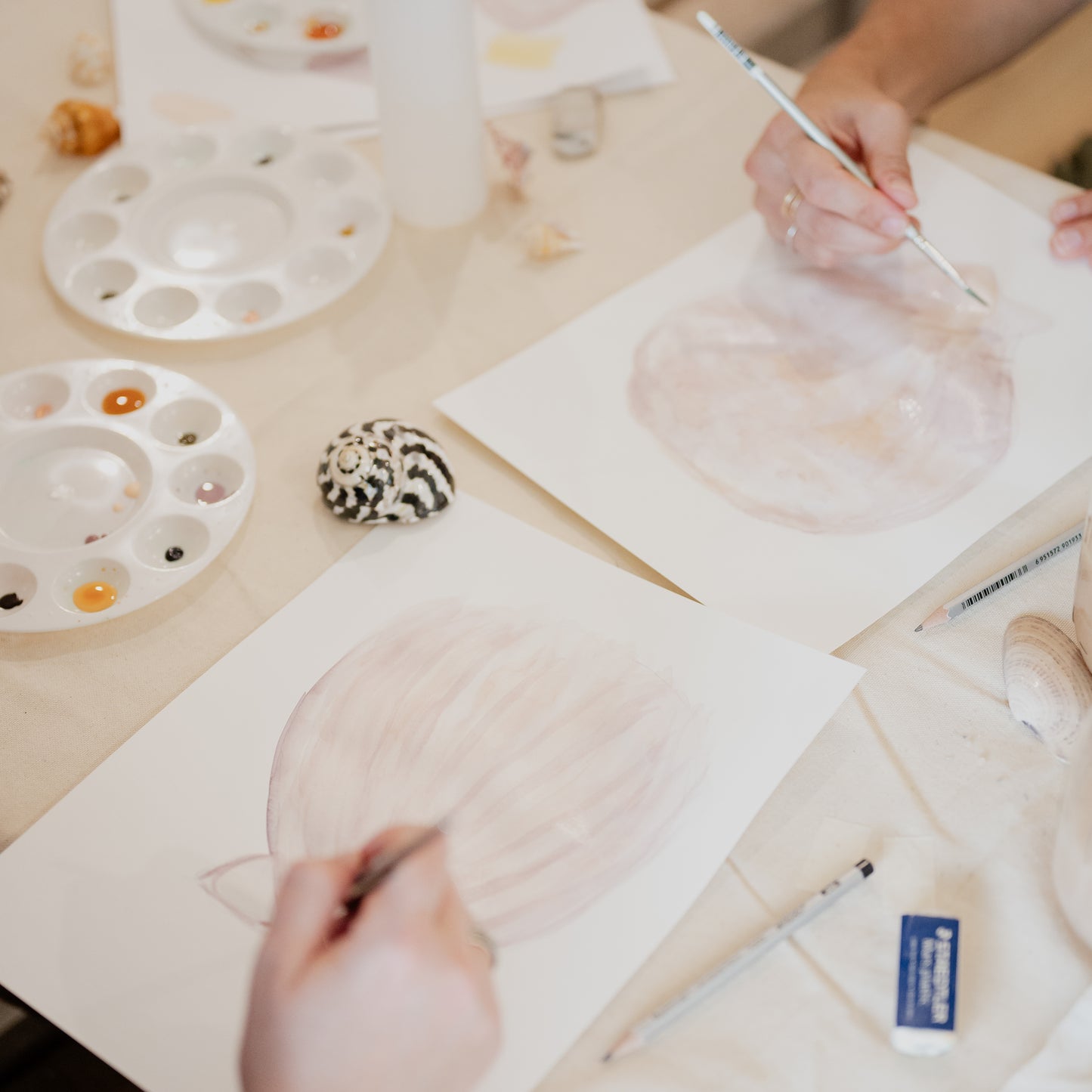 Shells & Shark's Teeth in Watercolor • August 23