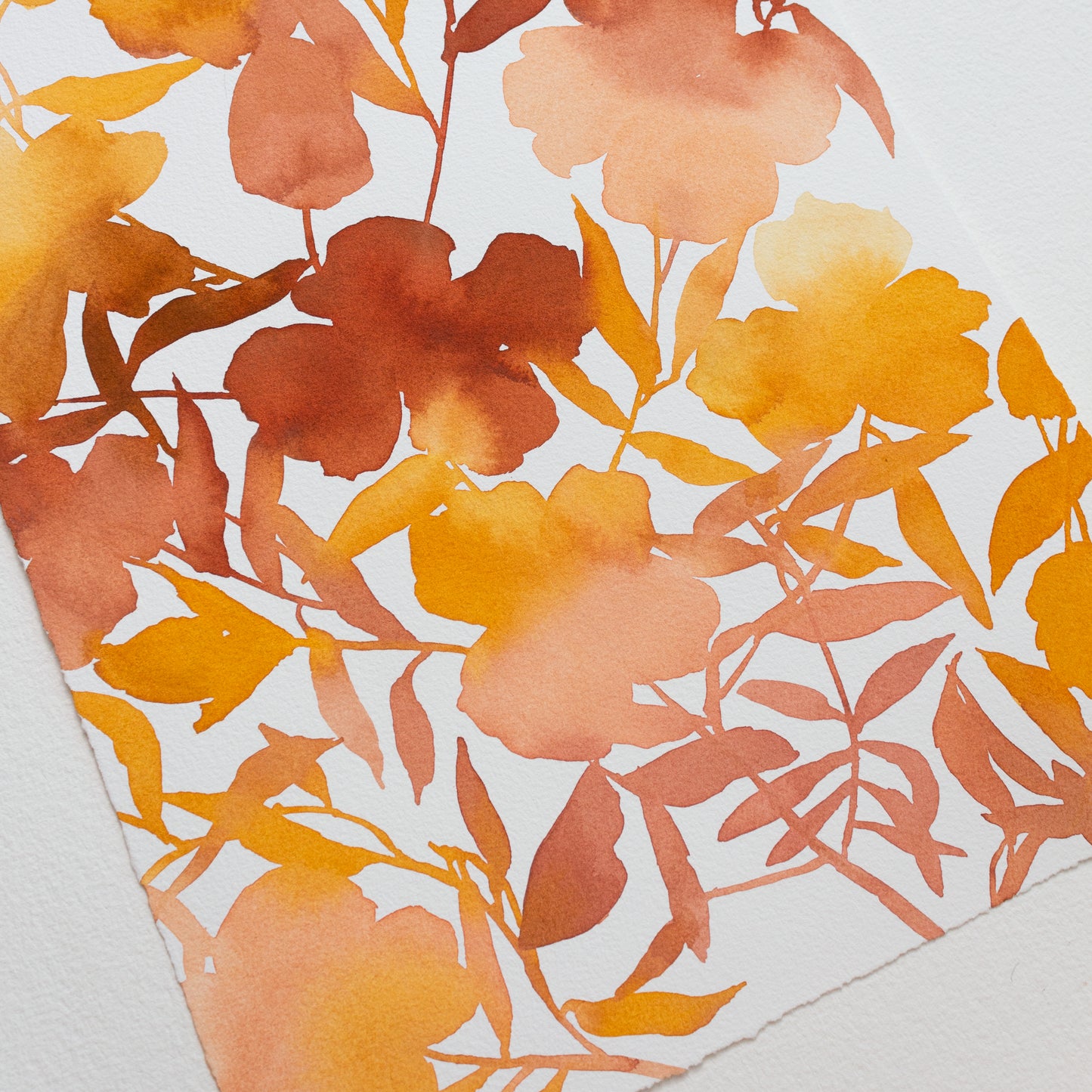 "Rowallane Peach Opal Floral" Print