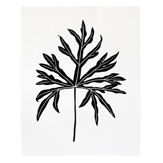 "Anthurium Podophyllum" Print