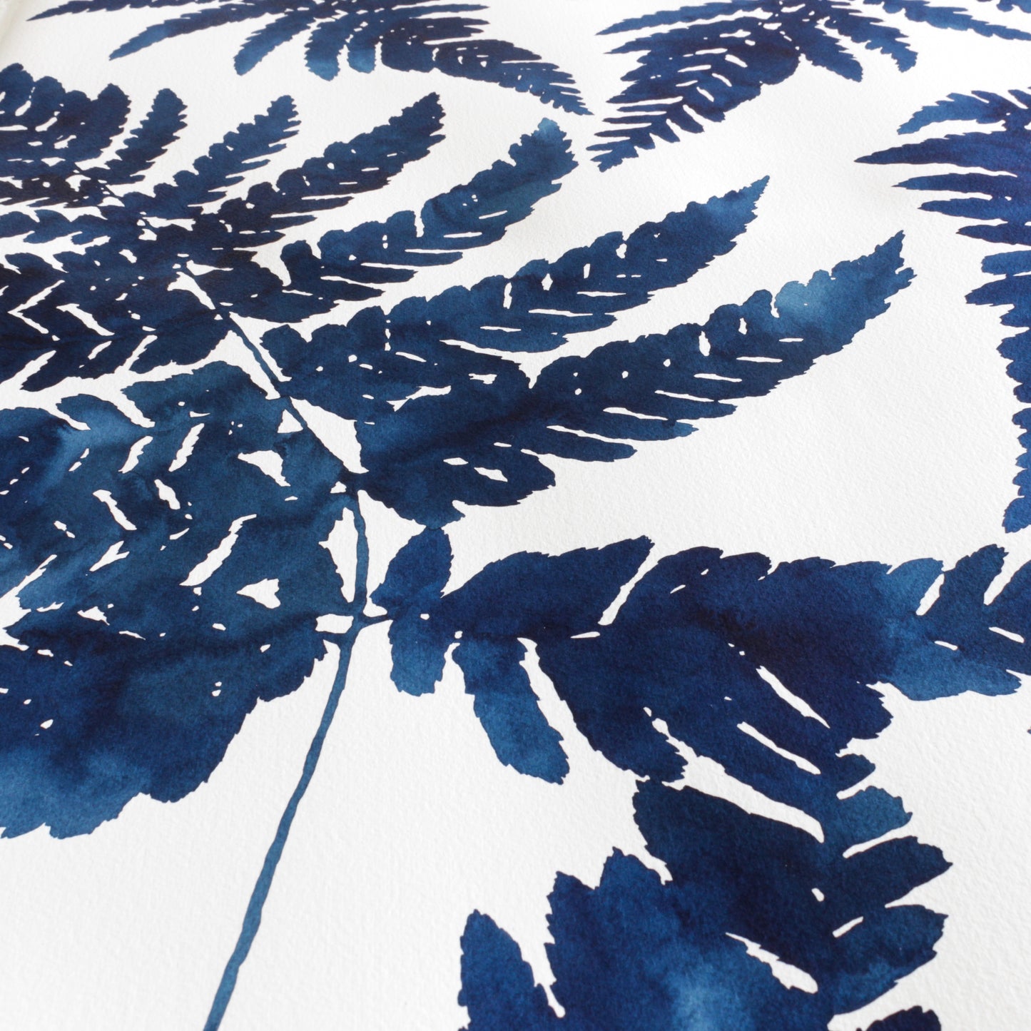 "Woodland Ferns" Print