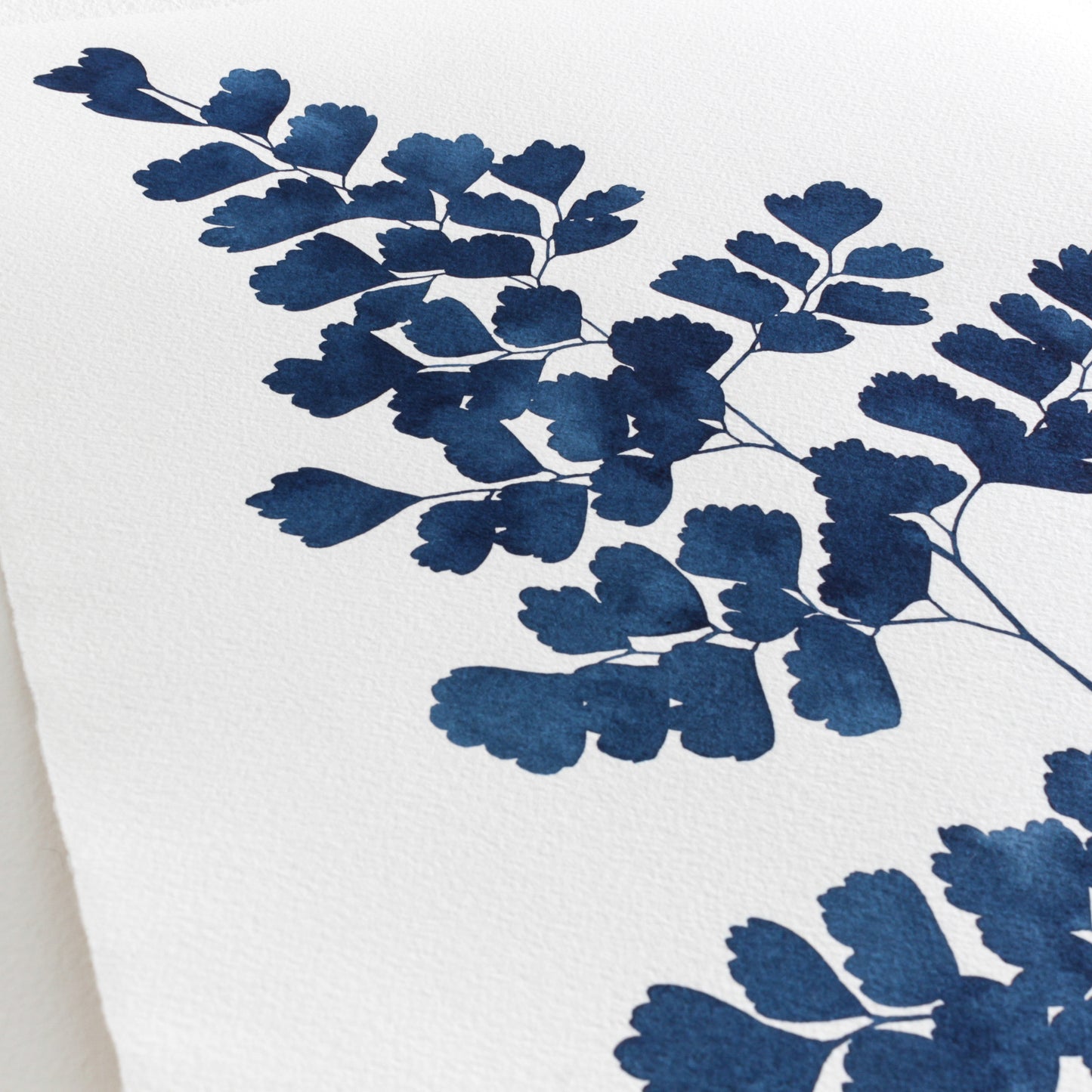 "Indigo Maidenhair Fern No. 2" Print