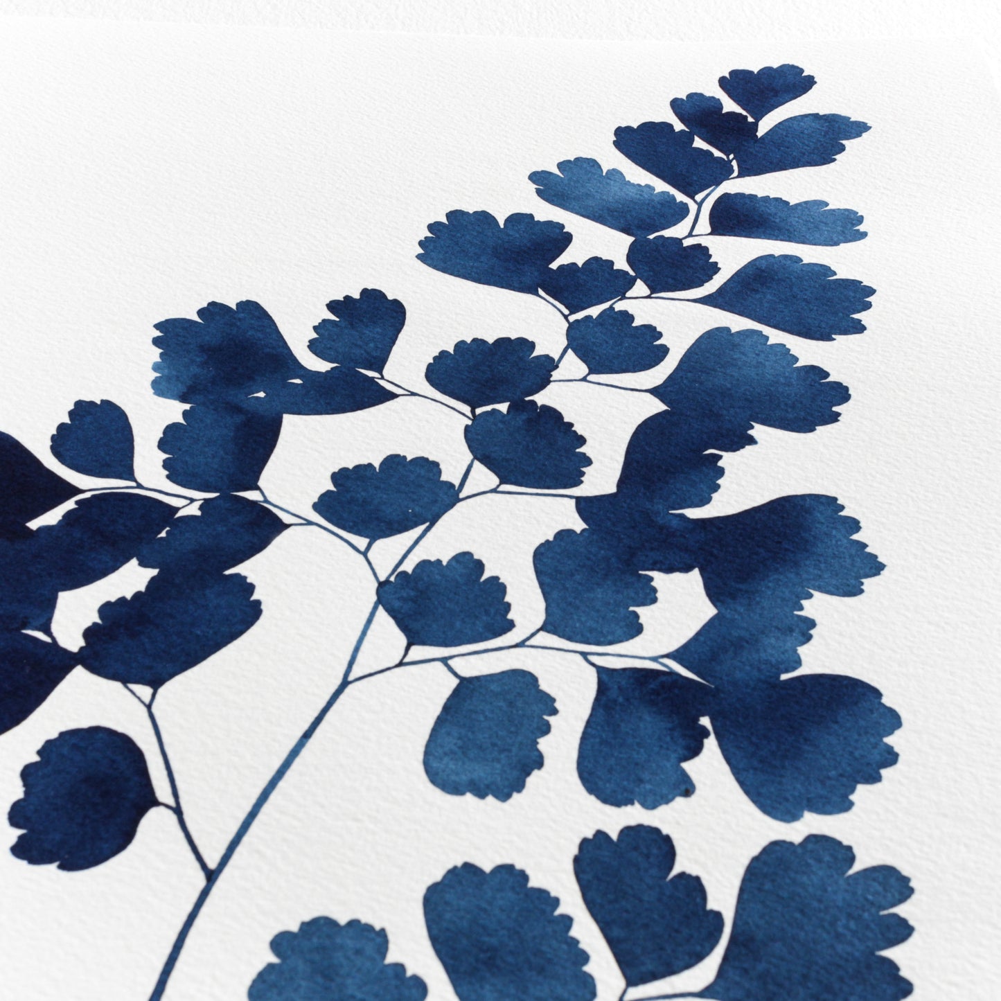 "Indigo Maidenhair Fern No. 1" Print