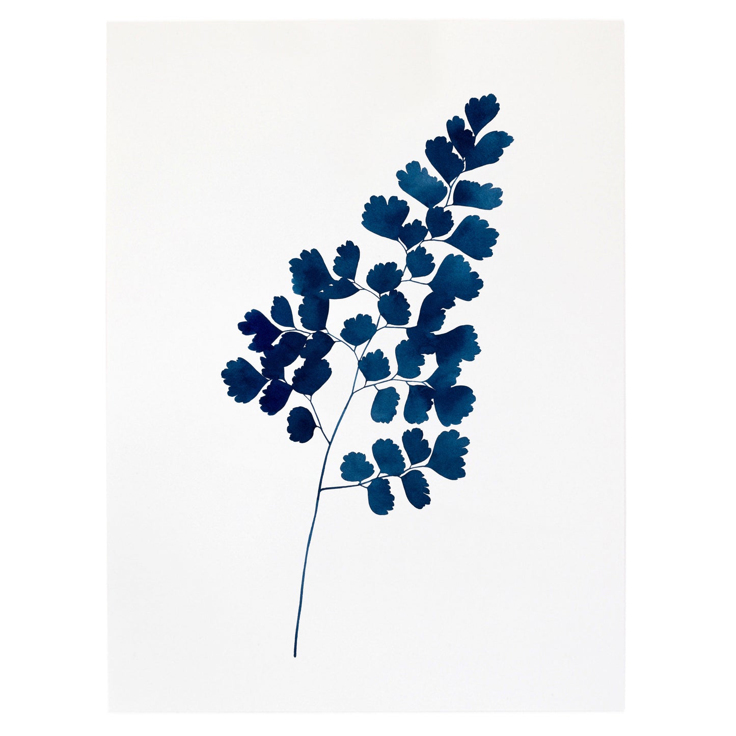 "Indigo Maidenhair Fern No. 1" Print