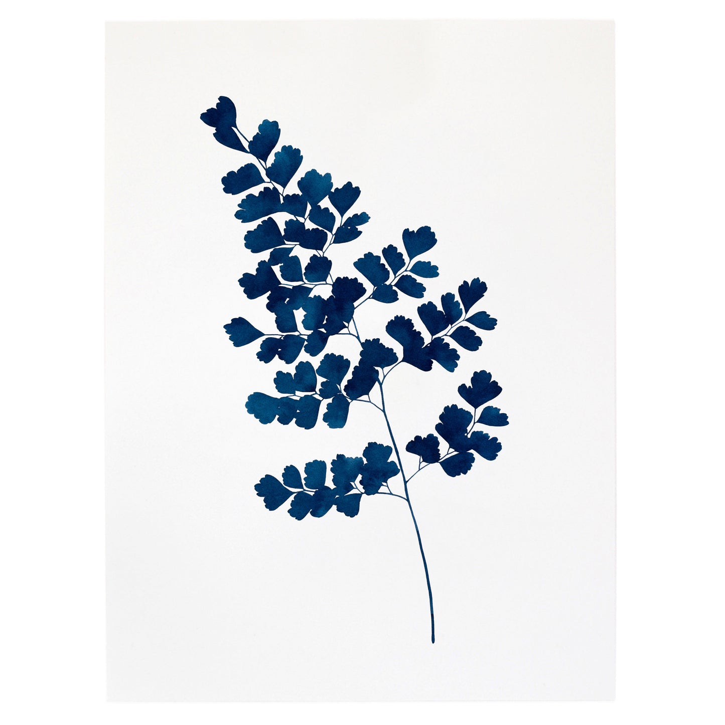 "Indigo Maidenhair Fern No. 2" Print