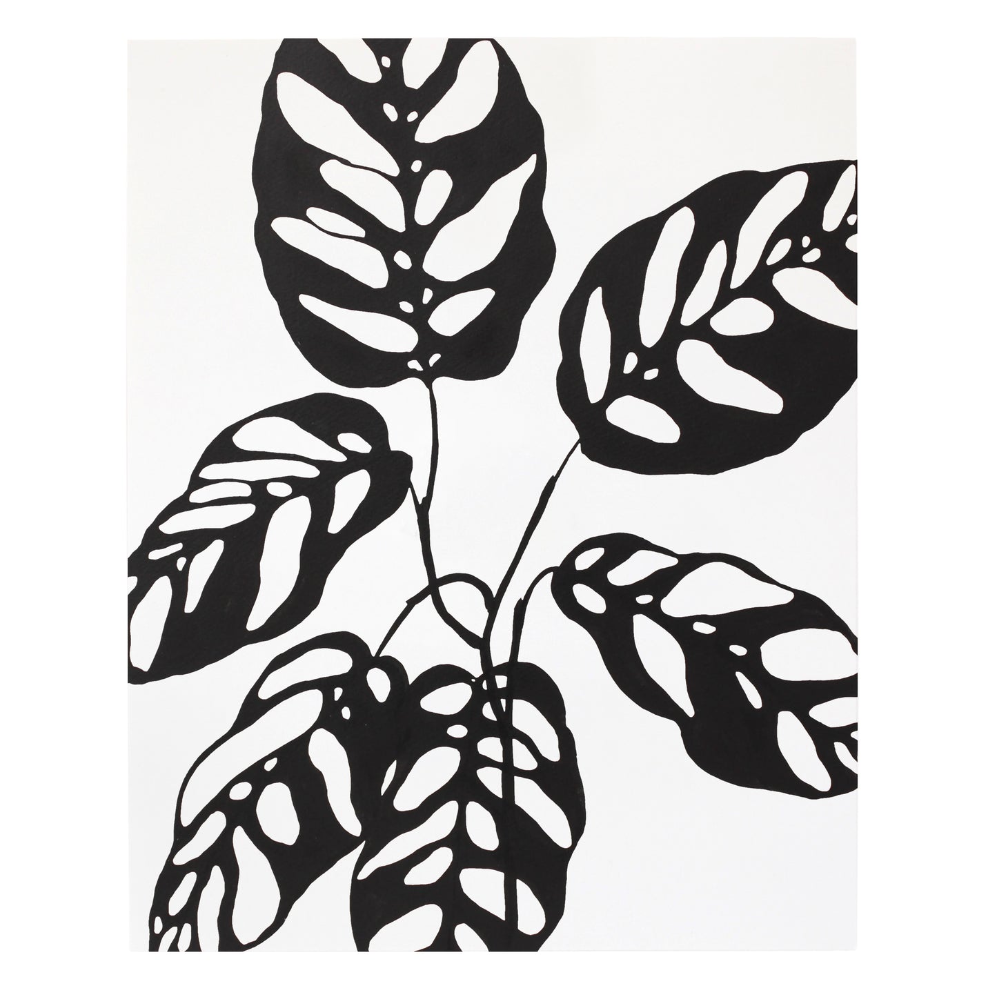 "Monstera Obliqua" Print