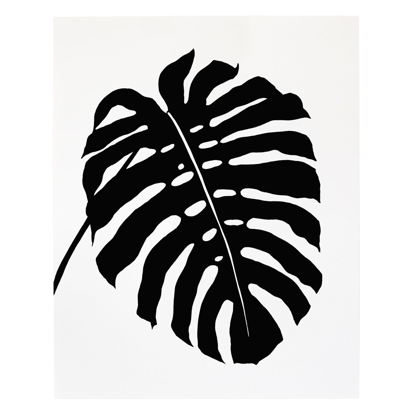 "Monstera Obliqua Expilata" Print