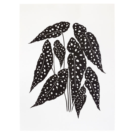 "Polka Dot Begonia" Print