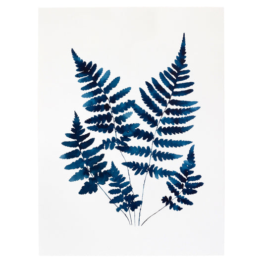 "Shield Ferns" Print
