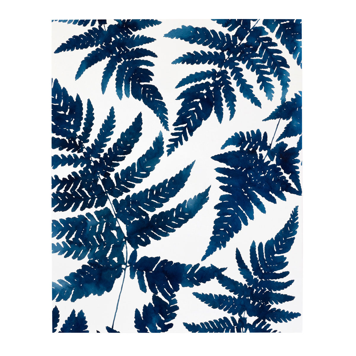 "Woodland Ferns" Print