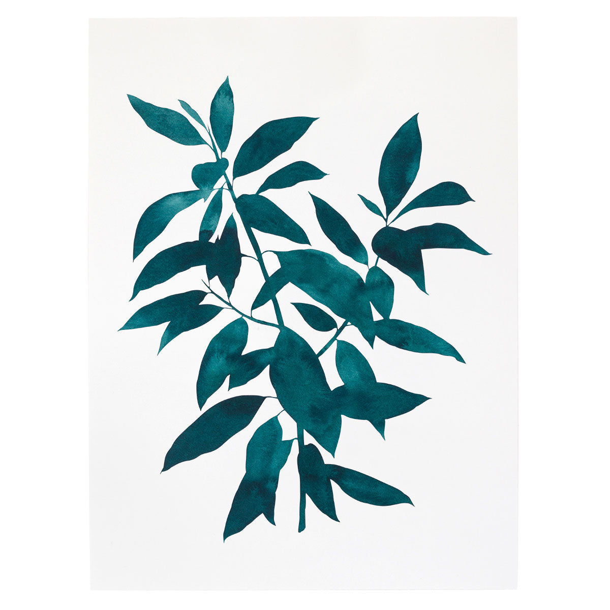 "Ngaio Tree" Print