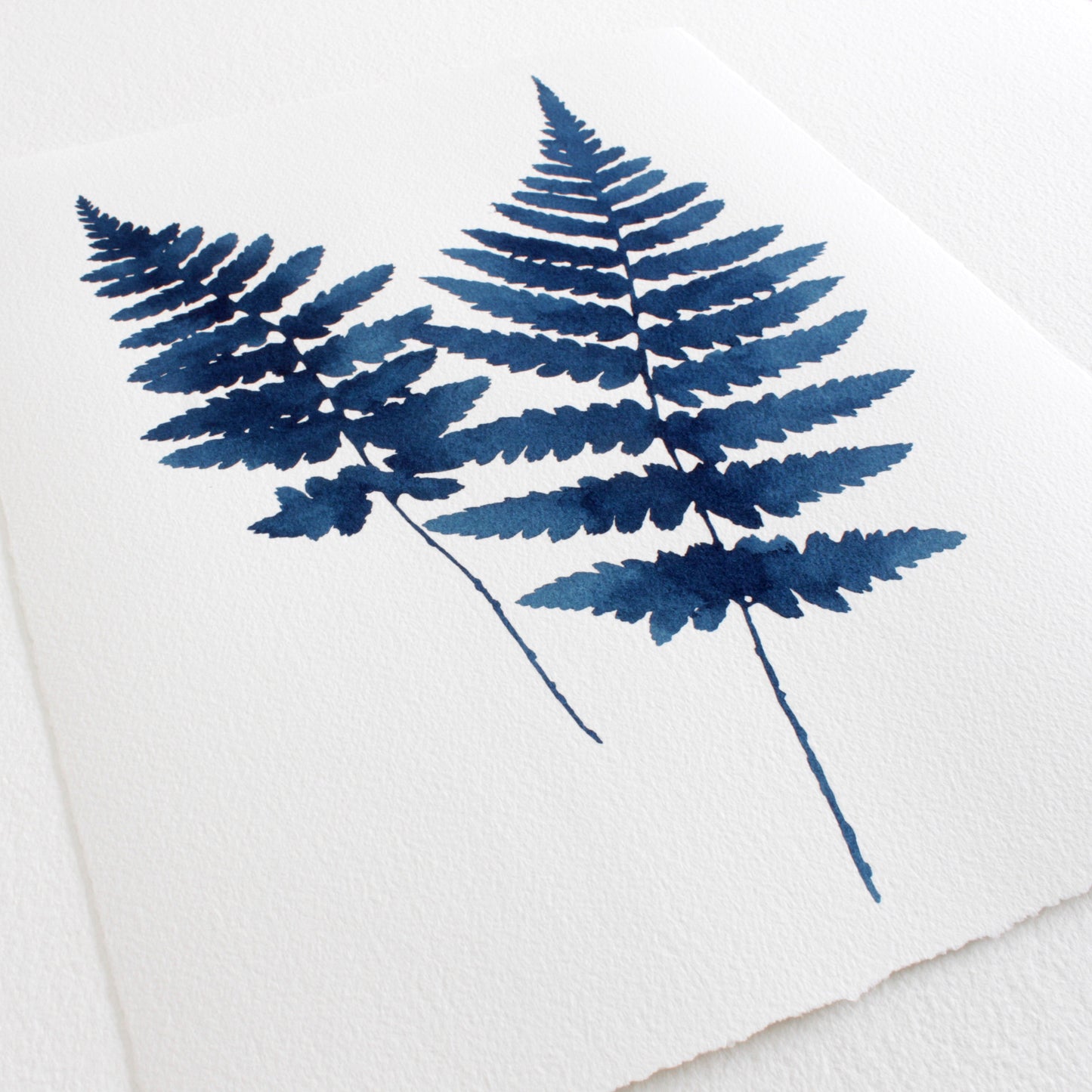 Indigo Ferns in Watercolor • January 10