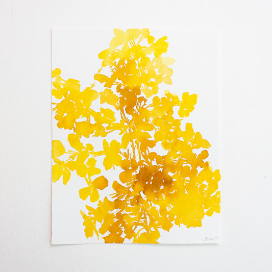 "Marigold Yellow Wildflower Burst" PAINTING