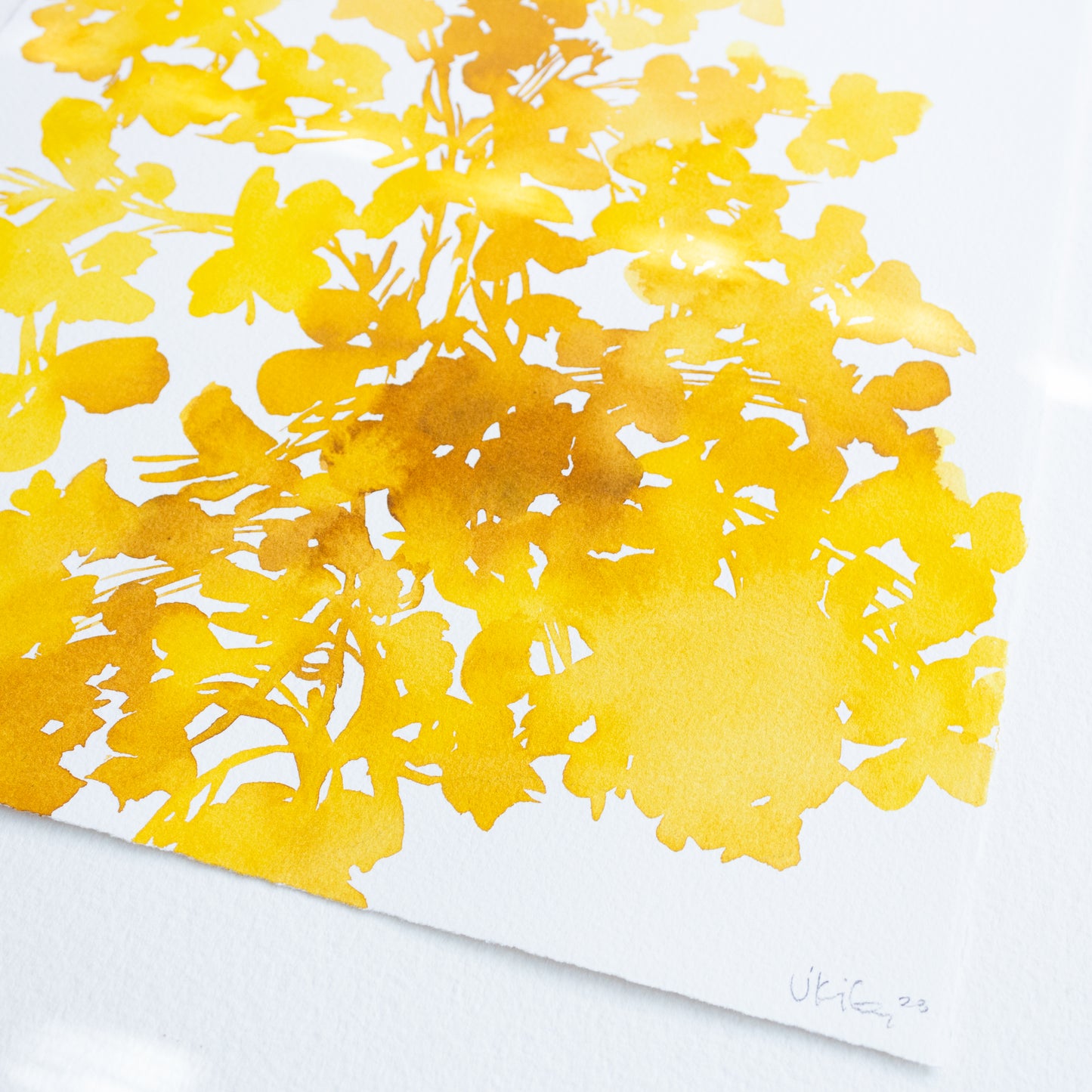 "Marigold Yellow Wildflower Burst" Print