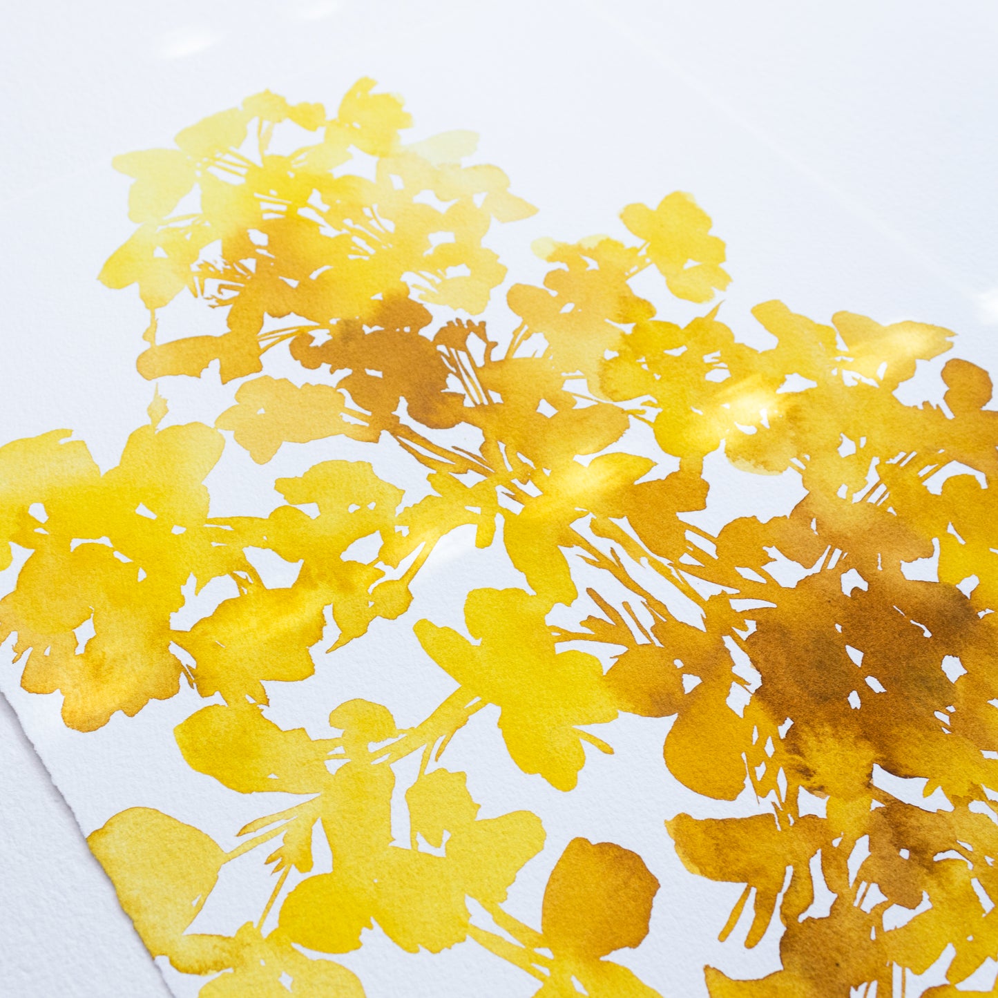 "Marigold Yellow Wildflower Burst" Print