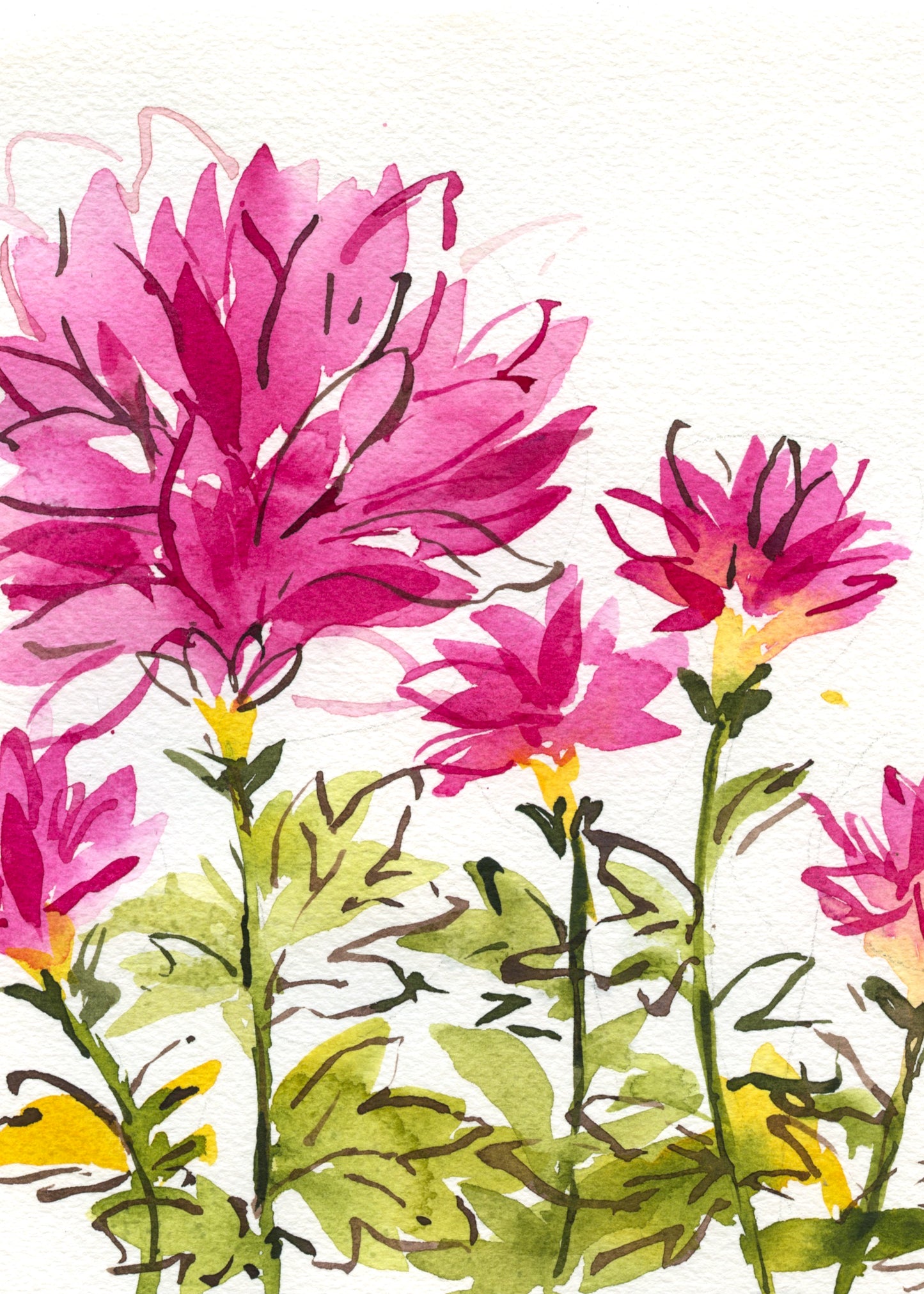 Wild Garden: Expressive Floral Art in Watercolor and Ink • August 9