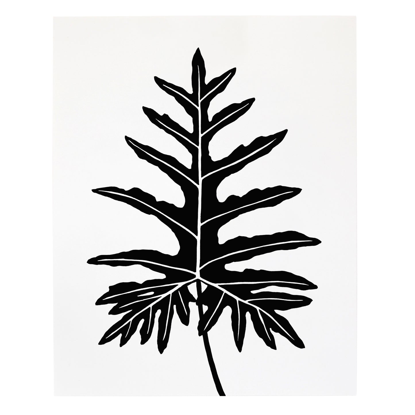 "Philodendron Sellowianuma" Print