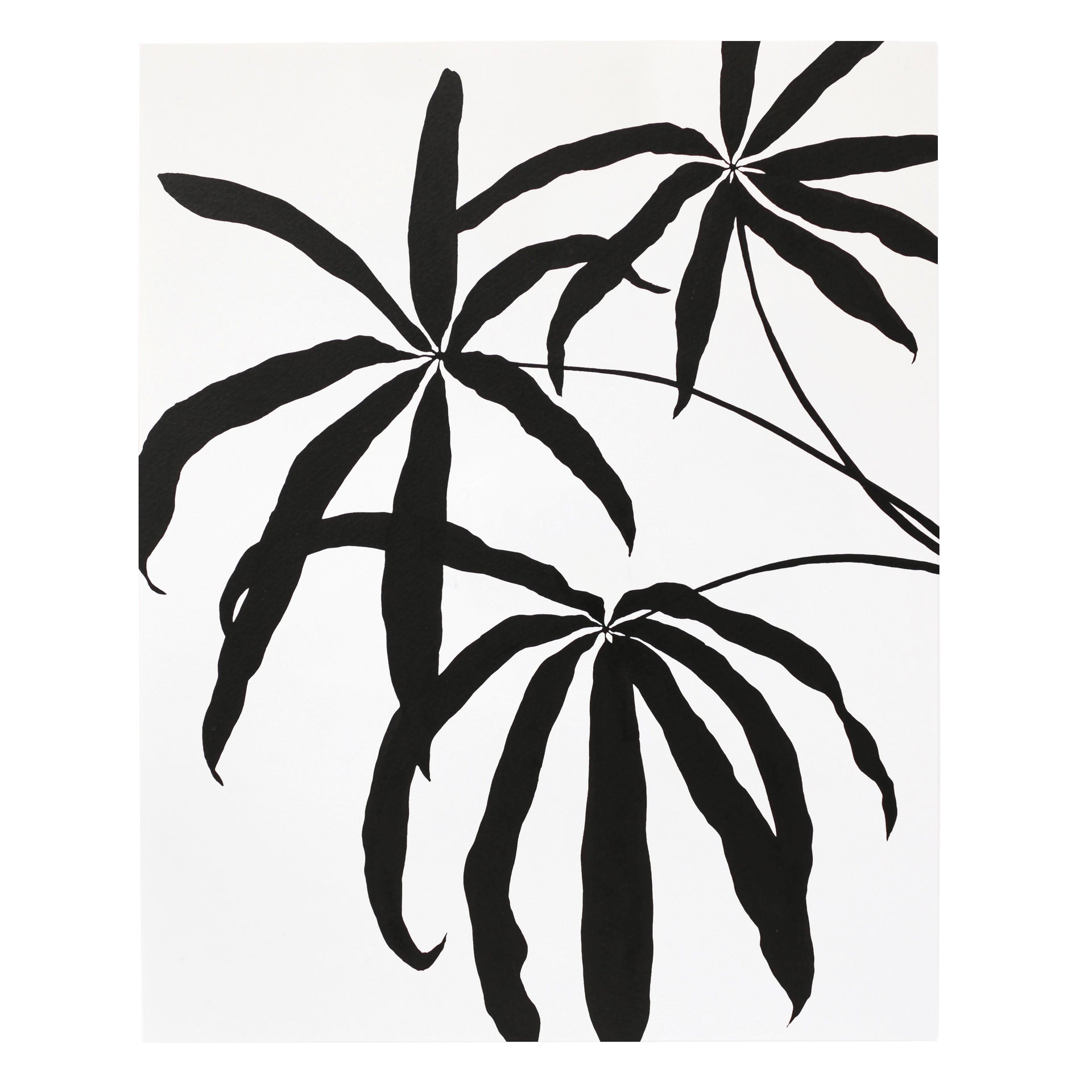 anthurium print Anthurium