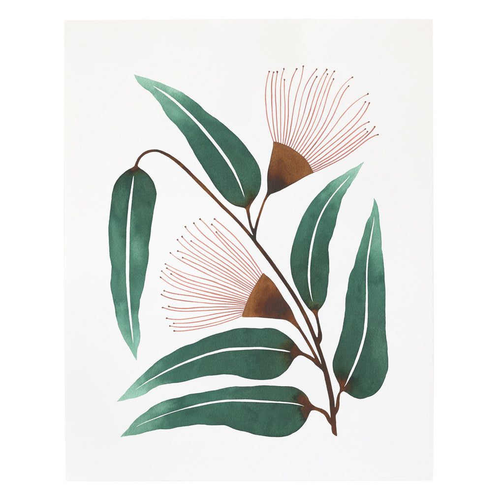 "Eucalyptus Xylon" Print